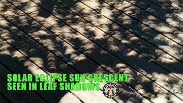 Solar Eclipse Sun Crescent in Leaf Shadows