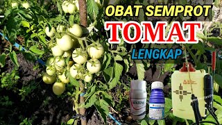 Panduan Lengkap Obat Semprot Tomat Agar Berbuah Banyak, Terhindar Dari Semua Jenis Hama Dan Penyakit