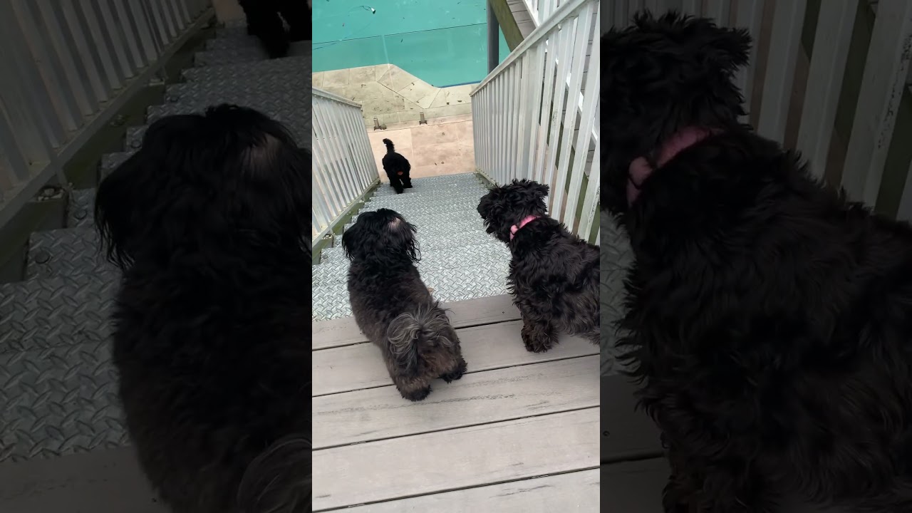 We love Jesus ❤️