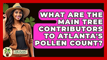 What Are the Main Tree Contributors to Atlanta