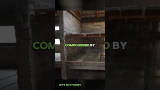 Auschwitz Sleeping Conditions #history #ww2 #shorts