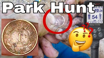 Metal Detecting in a park with my Nokta Makro Simplex running Version 2.78