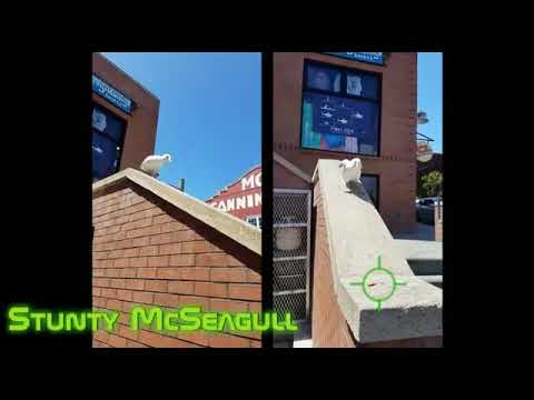 Just Like Me! | McSeagull - Kinderboerderij | Disney Channel NL
