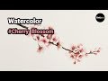 Watercolor Painting | Cherry Blossom