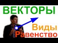 Векторы