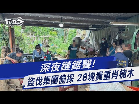 深夜鏈鋸聲! 盜伐集團偷採 28塊貴重肖楠木｜TVBS新聞 @TVBSNEWS01