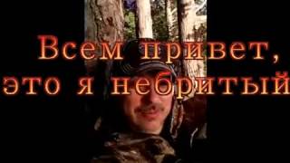 Белое море,острова Чупинской губы 2016 год.