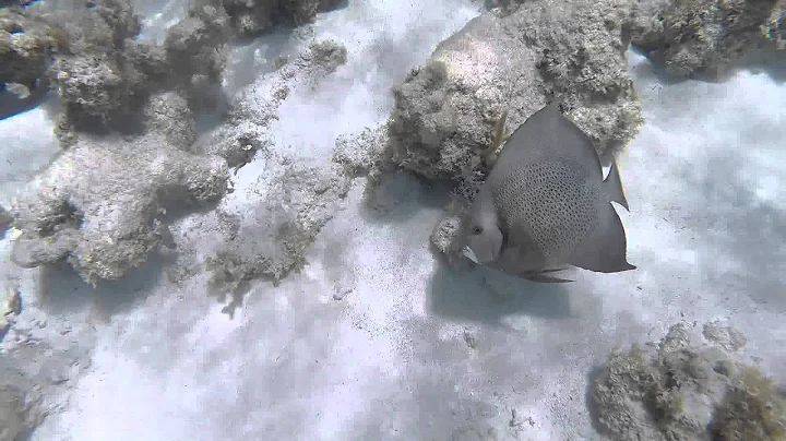 Caye Caulker, Belize