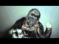 A gorila Koko tem uma mensagem para os seres humanos