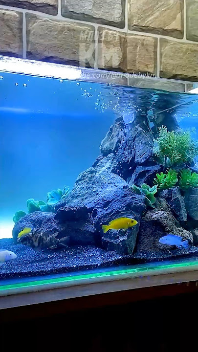 Creating an Underwater Sand Waterfall Aquarium 😍