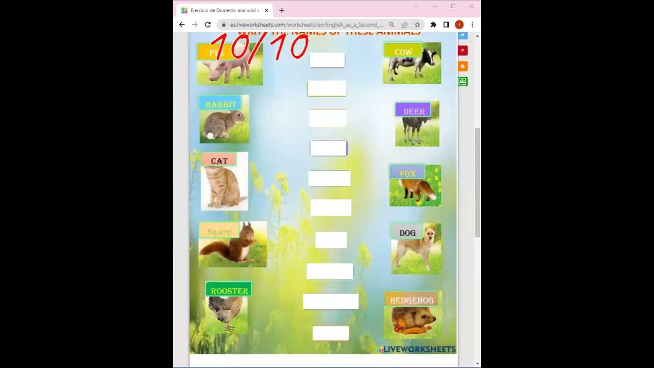 liveworksheet - YouTube