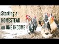 Starting a homestead on one small income