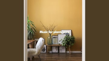 Remarkable Backdrops for Afternoon Respect