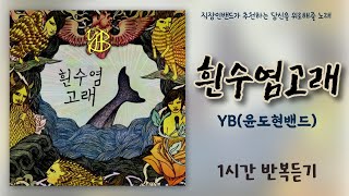 [1시간] 흰수염고래 - YB