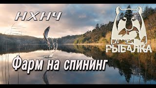 Русская рыбалка 4 / РР4 /  Фарм на спининг  / 18+