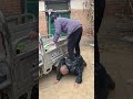 Funny Brother Wang, the old man is so kind! #funnyvillagecomedyvideo