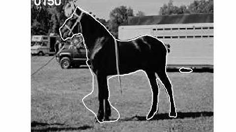 Prior Knowledge, Level Set Representations & Visual Grouping