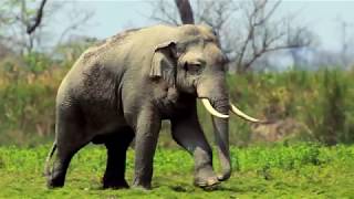 Prakritya Suramyamindian Heritage, Beauty And Culture