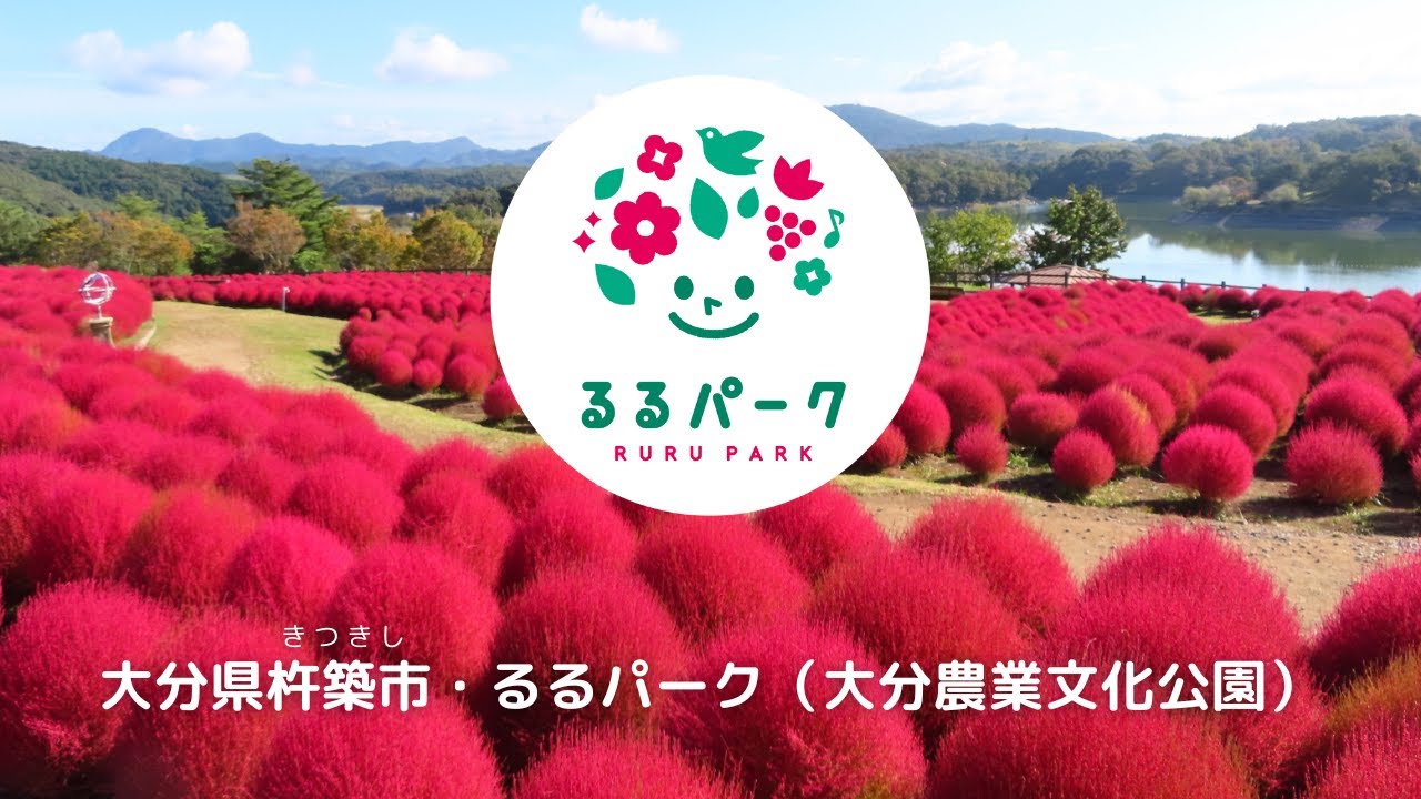 るるパーク（大分農業文化公園）コキア2023 - YouTube