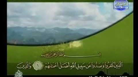 خليفة الطنيجي سورة محمد 47