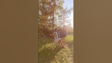 Thumbnail of Zabrałeś serce moje (You took my heart) #duet  #accoridon #vocal