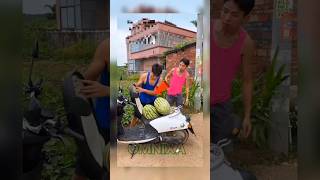 Two boys were stealing watermelons from someone's field 😨 #shorts #shortsvideo