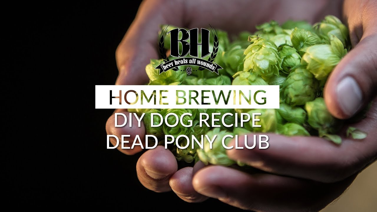 Home Brewing Brewdog DIY Dog with Brewie + YouTube