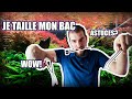 JE TAILLE MON AQUASCAPING!