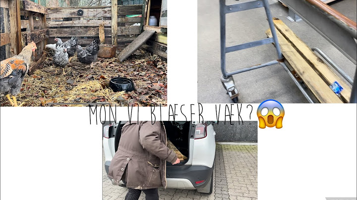 Bygger hønsegård i stomvejr🤦🏼‍♀️