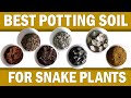 Best Soil Potting Mix for Snakeplants / Magandang Lupa Para sa Sansevieria