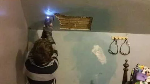 Carl Plaster repair