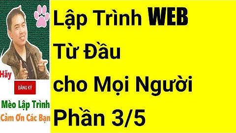 Lập Trình WEB Cơ Bản Phần 3/5 CSS | Từng Bước cho Người Mới Bắt Đầu | Mèo Lập Trình