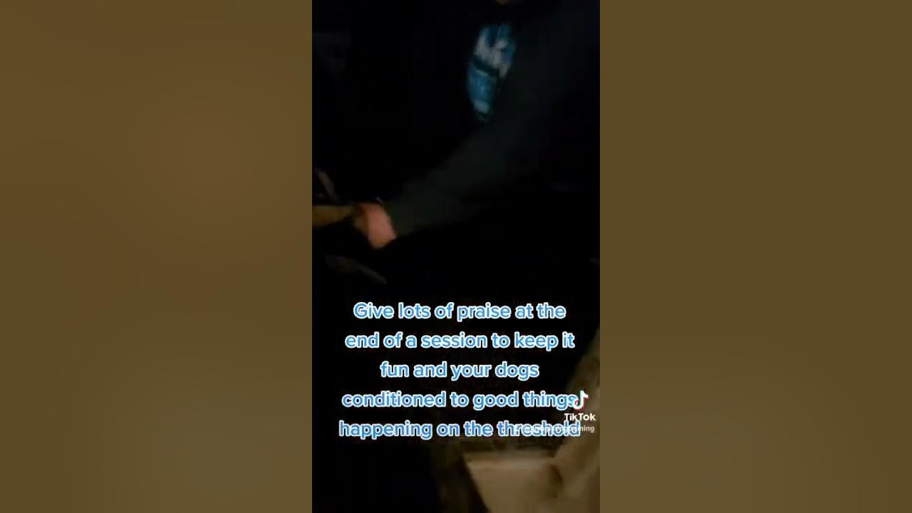 Door Boundary Game for dogs Series Part 2 YouTube