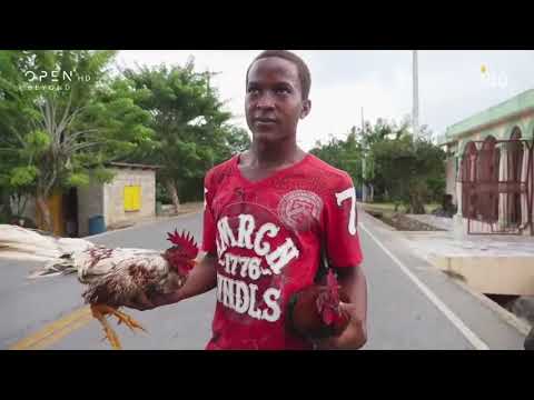 Βίντεο: Διακοπές στη Δομινικανή Δημοκρατία τον Σεπτέμβριο