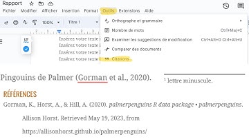 Citations, références et note de bas de page automatiques dans Google docs