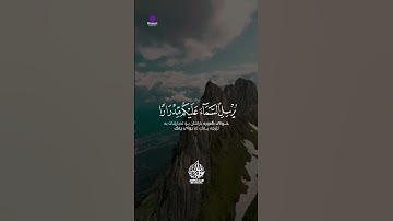 🌹 تلاوة تحرك المشاعر وتزرع الطمأنينة ❤️ عبدالله مصطفى