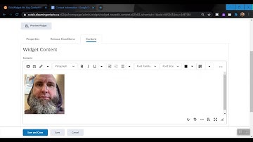 Creating Custom Widgets D2L