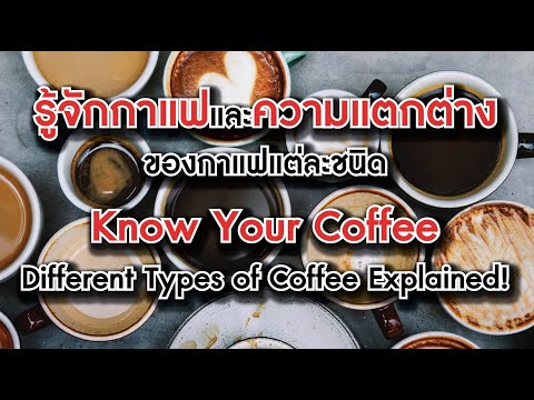 Know Your Coffee ☕ Different Types of Coffee ☕ Explained! กาแฟ☕และความแตกต่างของกาแฟ☕แต่ละชนิด☕EP.1