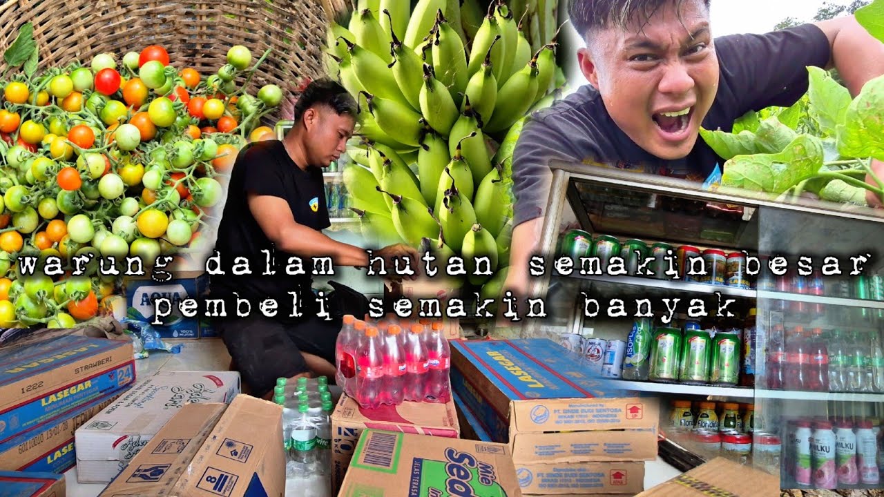 Warung dalam hutan semakin besar belanja sebanyak ini cuma untuk seminggu hidup di hutan