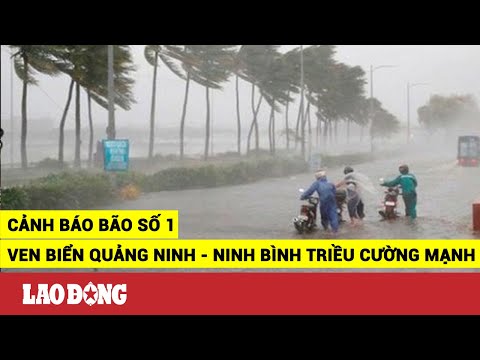 Video Bão số 1 đổ bộ chiều 1/7: Ven biển Quảng Ninh - Ninh... - youtube