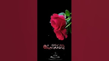 صباح الخير🌹حالات واتس اب مقاطع قصيره🌹قران كريم سورة البقره واستغفروا الله🌹عبد الرحمن مسعد بدون حقوق