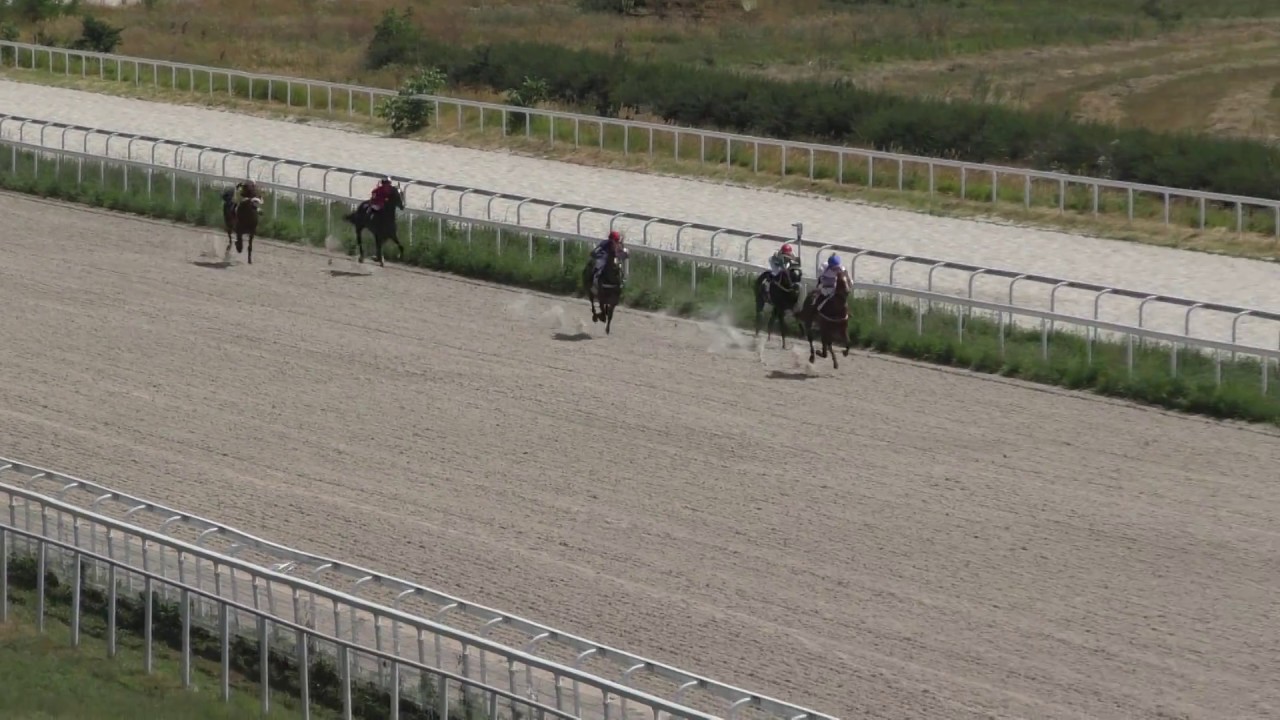 06.08.2017 - Приз в честь В.П.Шамборанта - Касмир