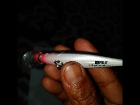 RAPALA MINNOW CASTING