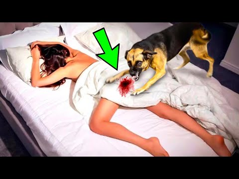 امراة لبنانية كانت تنام مع كلبها كل ليلة ولكن بعد أشهر ما فعلته كان صادم للغايه