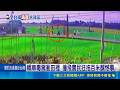 轎車毒駕衝田裡 撞飛農民狂拖百米釀憾事 開贓車毒駕拒捕衝撞逃逸 員警飛撲壓制嫌犯｜三立新聞LIVE