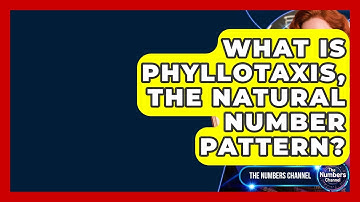 What Is Phyllotaxis, The Natural Number Pattern? - The Numbers Channel