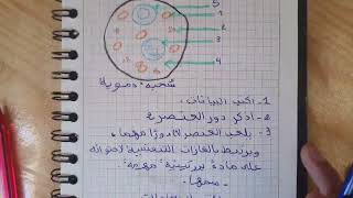 اهم الاسئلة في درس :مكونات الدم 💯 اضمن 20/20 في BEM 2022 😍
