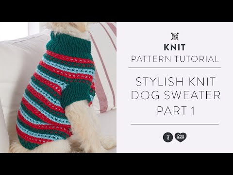 Video: How To Knit A Sweater For A Dog