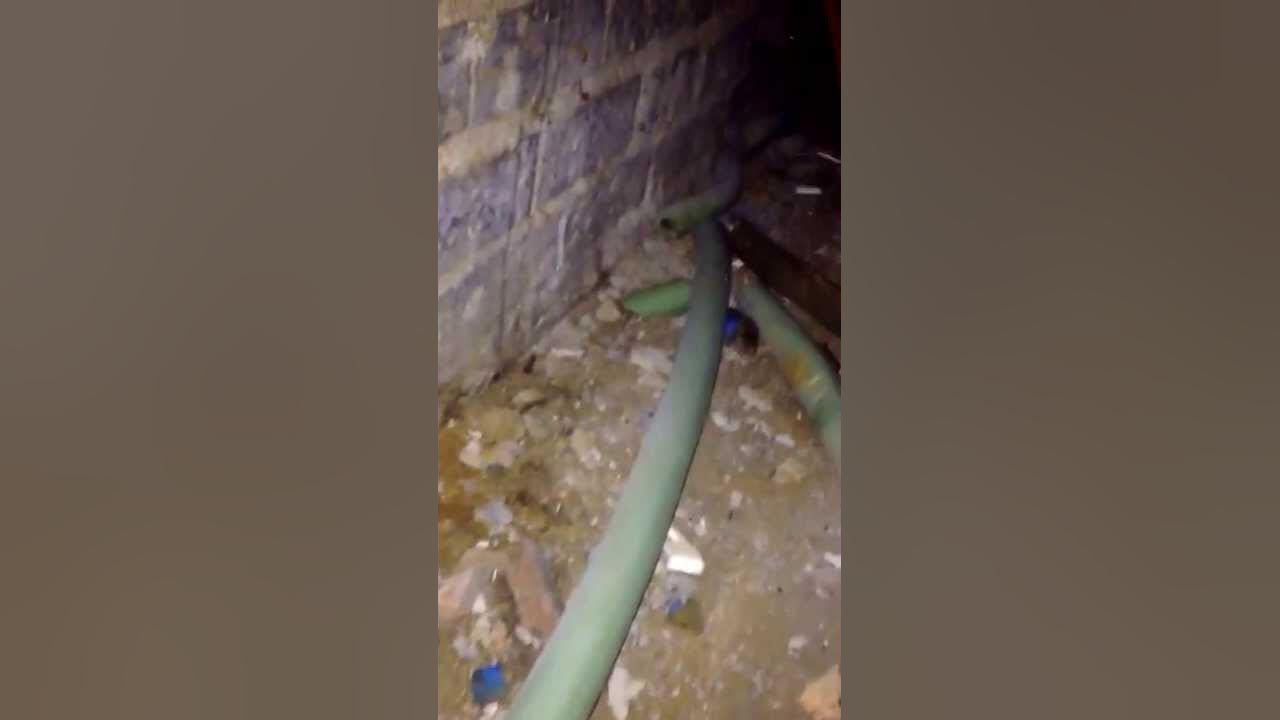 Boiler losing pressure leak in central heating pipes YouTube