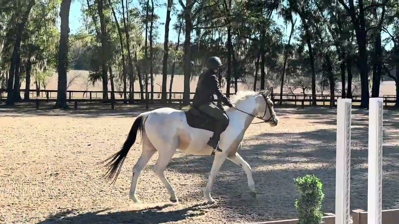 Cowboy flatting with amateur